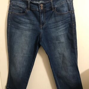 New York & Company Curve Creator Crop